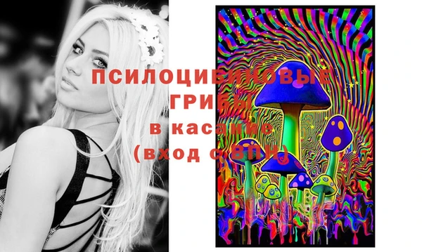 бутират Осинники