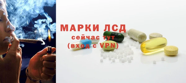 индика Пестово