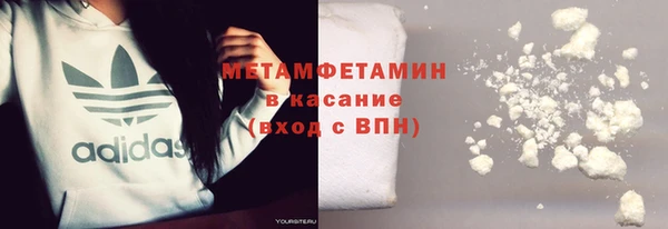 индика Пестово