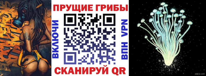 Купить где  Старый Крым  Галлюциногенные грибы Magic Shrooms 
